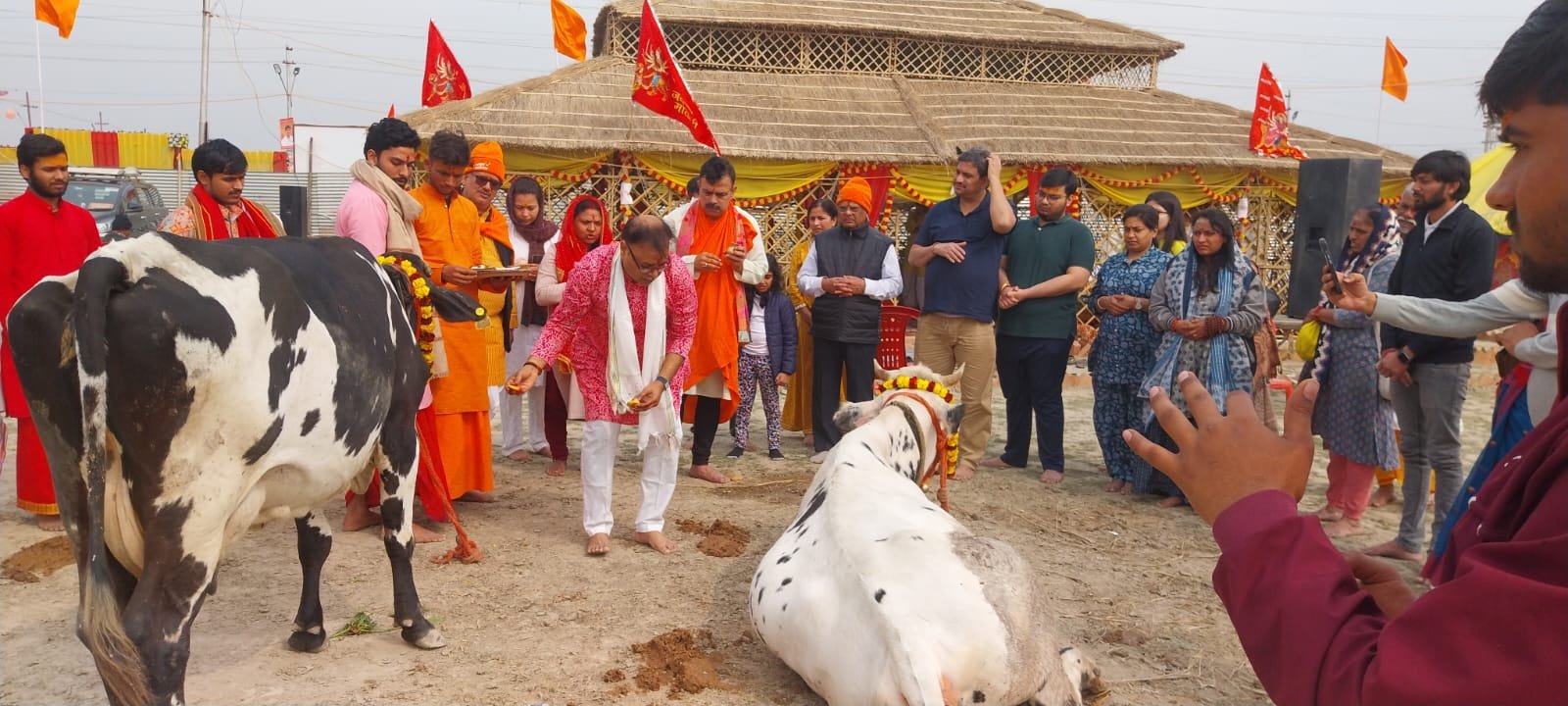 Desi Cow Protection & Gau Puja Seva
